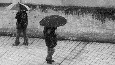 Tomado de  http://blogofago.blogspot.com/2007/05/sabiduria-popular.html